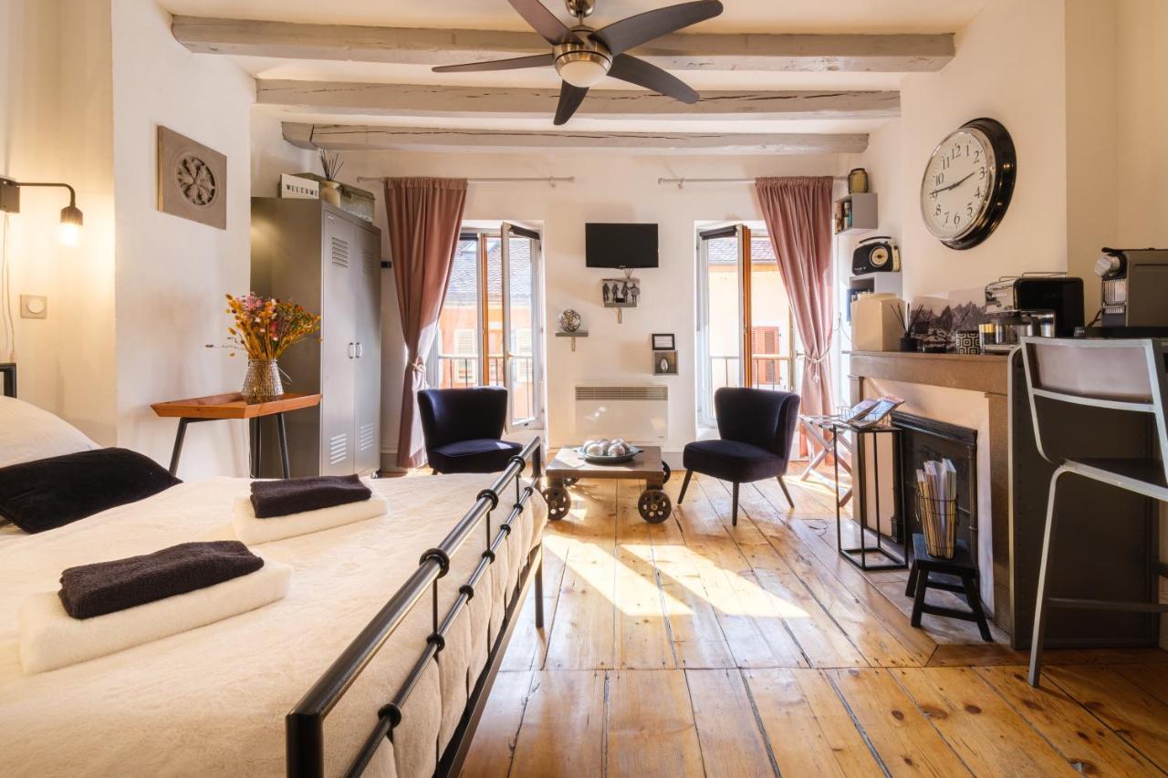 Au Grey D'Annecy, Studio Cosy Au Coeur De La Ville Bagian luar foto