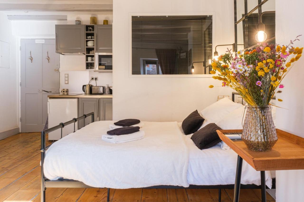 Au Grey D'Annecy, Studio Cosy Au Coeur De La Ville Bagian luar foto