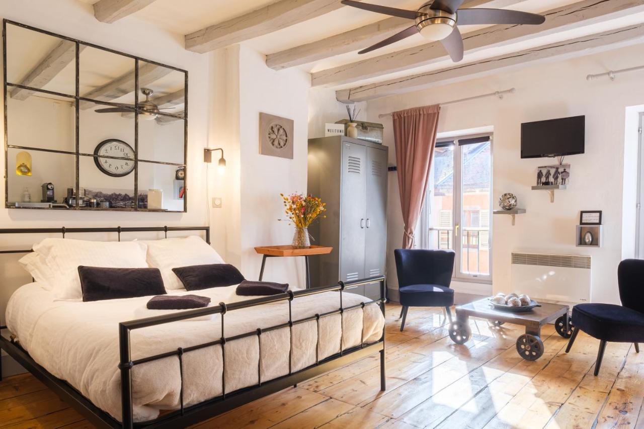 Au Grey D'Annecy, Studio Cosy Au Coeur De La Ville Bagian luar foto