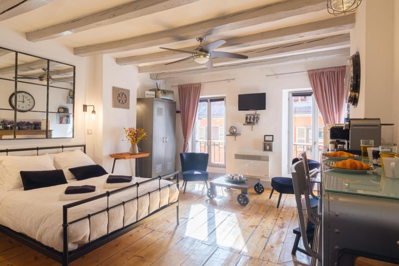 Au Grey D'Annecy, Studio Cosy Au Coeur De La Ville Bagian luar foto
