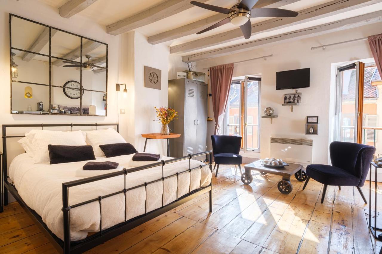 Au Grey D'Annecy, Studio Cosy Au Coeur De La Ville Bagian luar foto